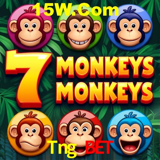 Avaliações dos Jogadores Tng Bet