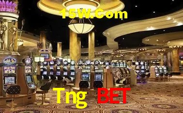 Sistemas de Segurança Tng Bet